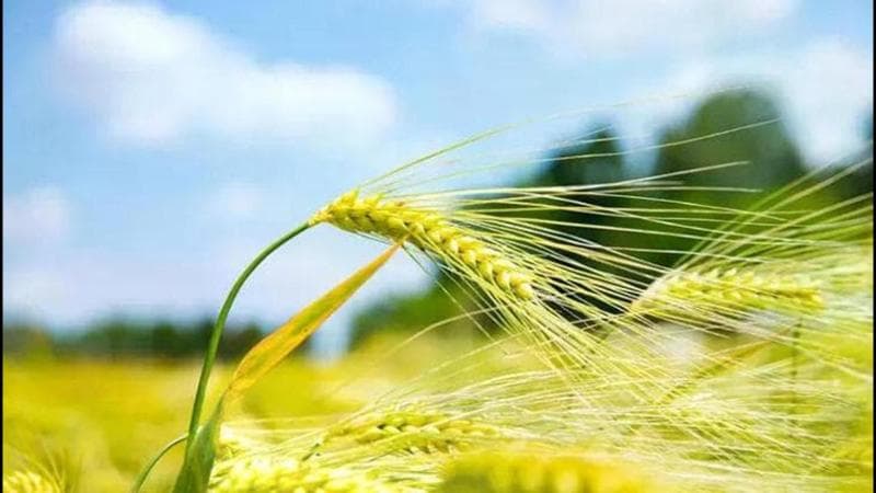 Lavoro e benessere: perché la cooperazione è attuale ancora oggi