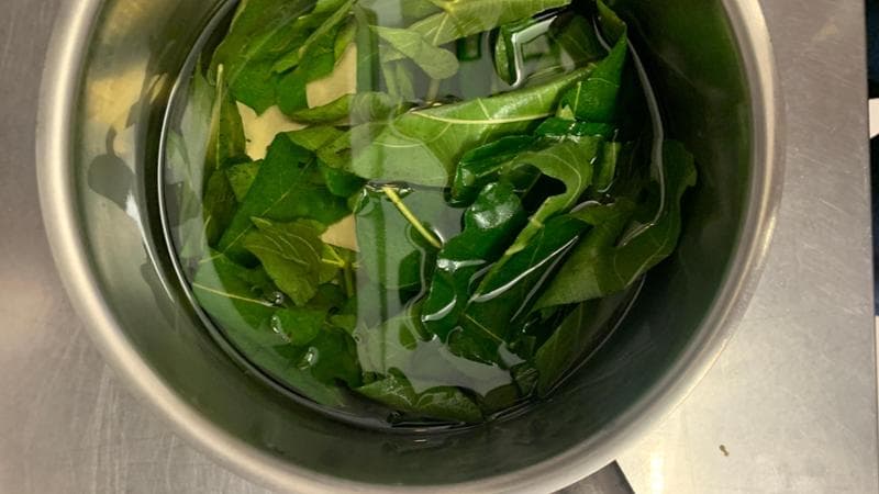 Olio alle foglie di fico