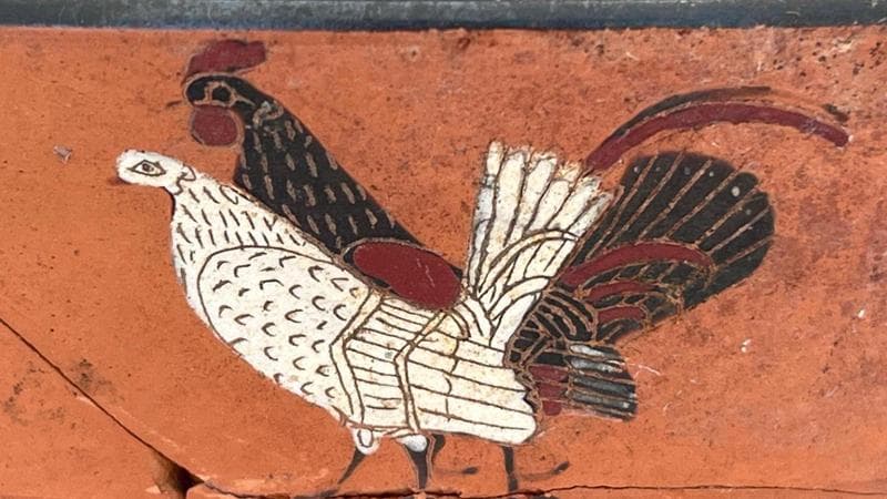 dettaglio di una coppa attica.
