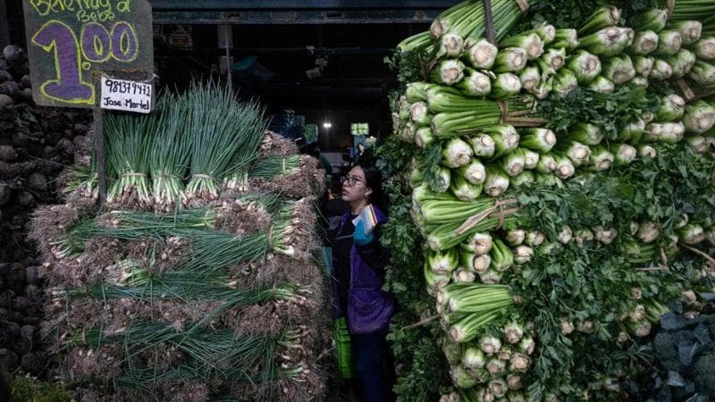 ERNESTO BENAVIDES / AFP