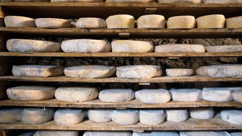 Anteprima: Formaggi a latte crudo: quando sono sicuri. E intanto la legge sulle etichette è ferma da…