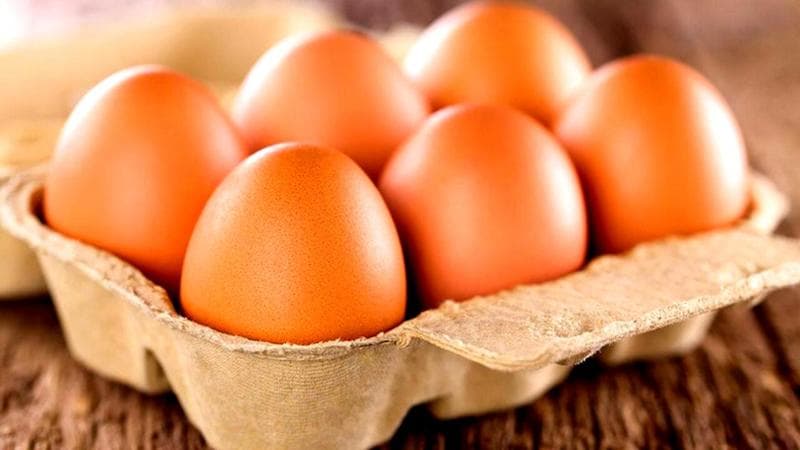 Anteprima: Uova da allevamento all'aperto ritirate per rischio salmonella enteritidis