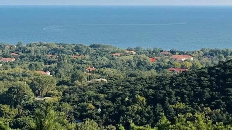 Anteprima: A Beidaihe il ritiro del Partito: la “vacanza estiva” dei leader per decidere il futuro d…