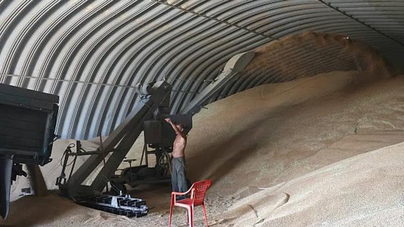 Navi in fiamme e silos pieni, Mosca costringe l’Ucraina a un’altra guerra del grano