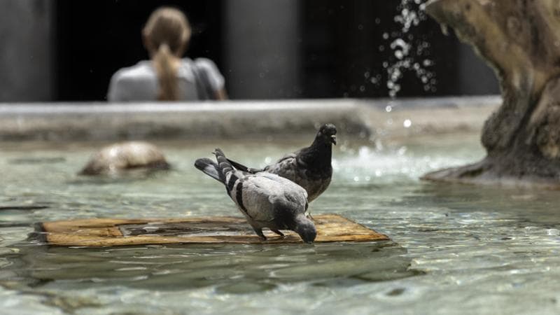 La fontana di piazza del Pantheon a Roma (Agf)