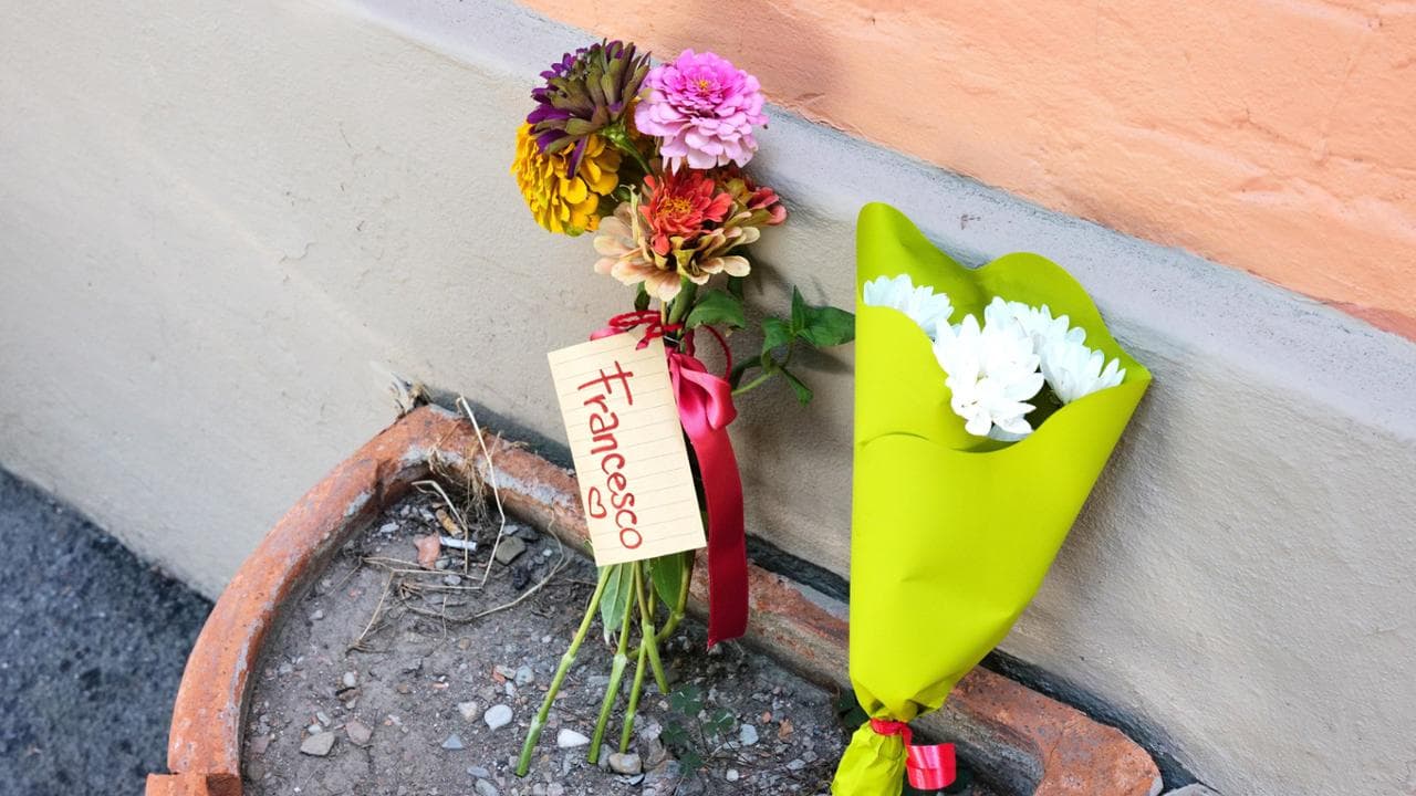 I fiori in via Paolo Fabbri 43 a Bologna