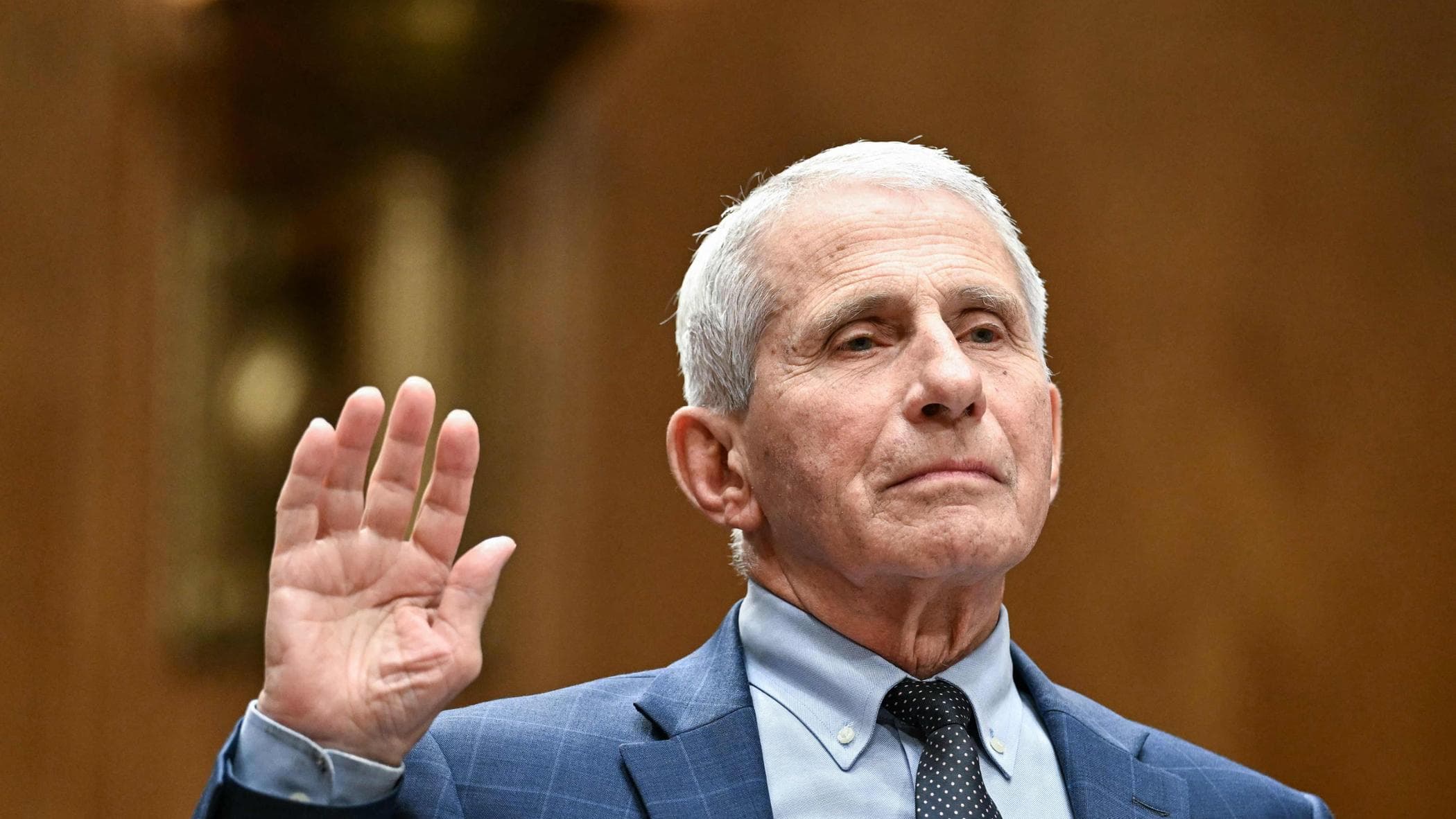 stati uniti il senato dichiara fauci colpevole di oltraggio al congresso da Repubblica.it stati uniti il senato dichiara fauci colpevole di oltraggio al congresso