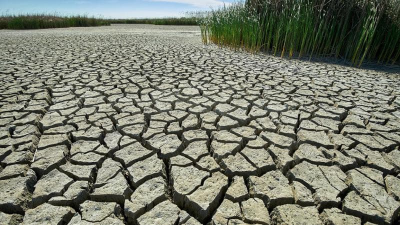Anteprima: Ancora 10 giorni di caldo estremo: l’Italia soffoca. Oggi 26 città in bollino rosso