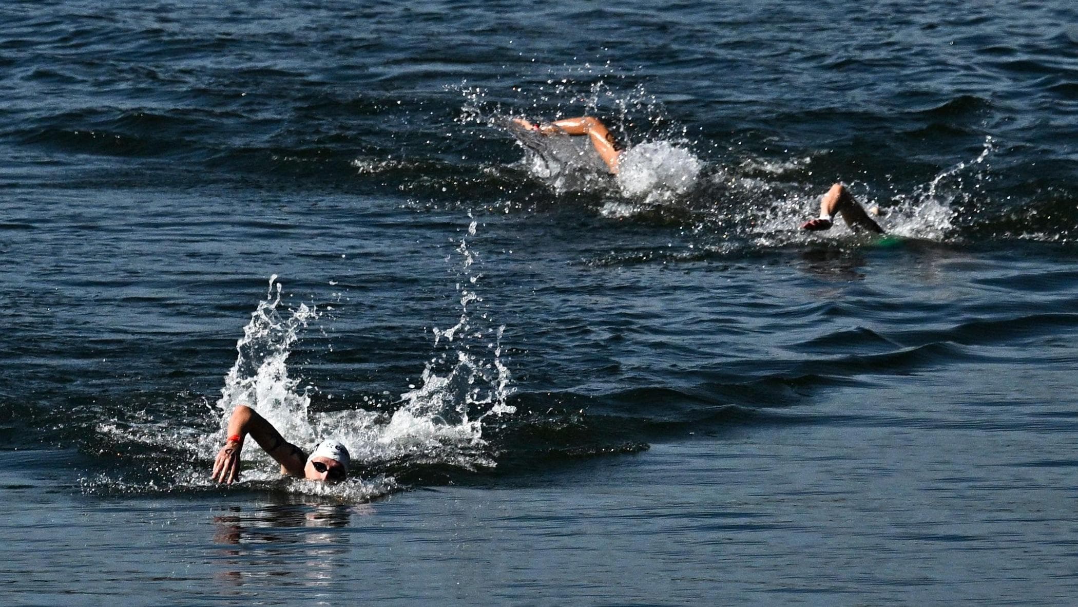 italia argento nella staffetta agli europei di nuoto con pozzobon taddeucci guidi e paltrinieri da Repubblica.it italia argento nella staffetta agli europei di nuoto con pozzobon taddeucci guidi e paltrinieri