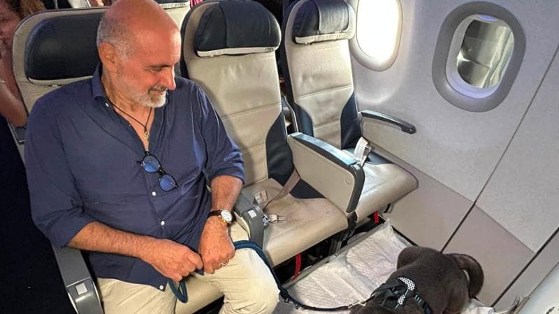 Geppino, 13 anni e 29 chili: è il primo cane di grossa taglia a volare in cabina in Italia