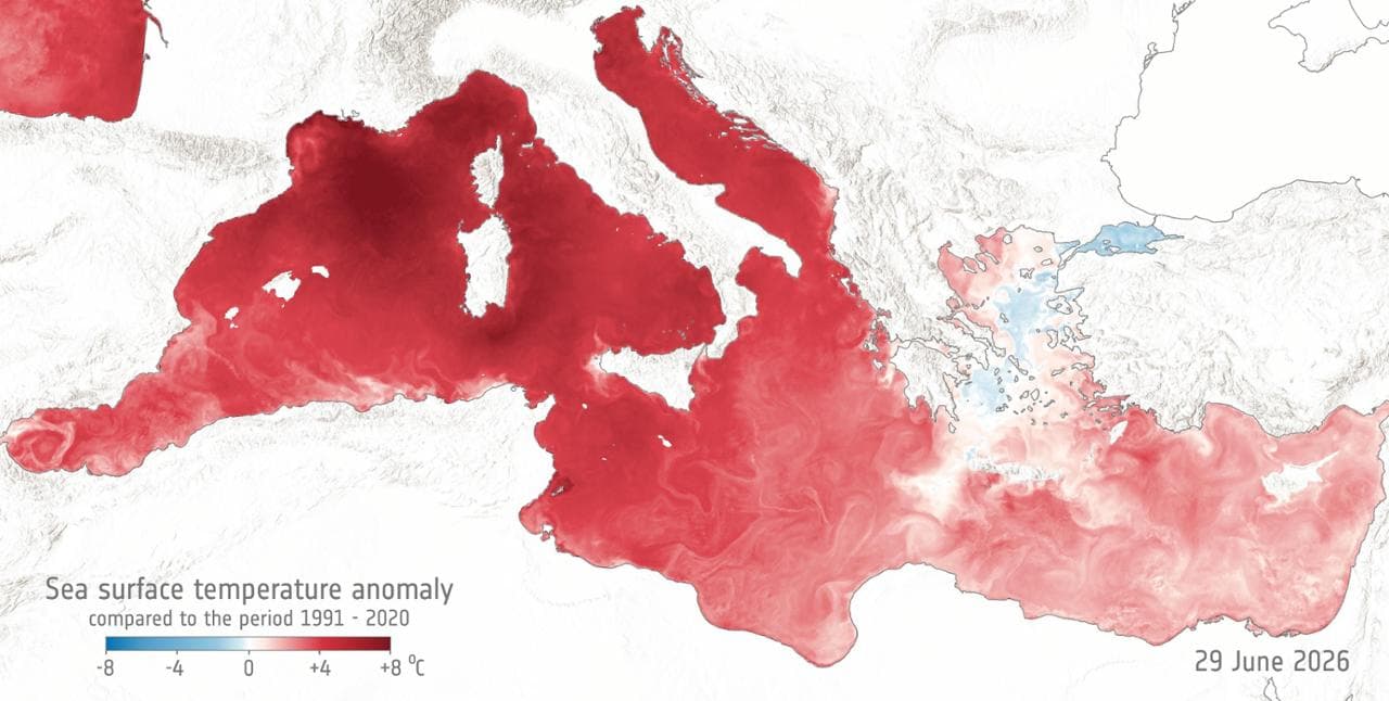 Dove il Mediterraneo è più caldo della media
