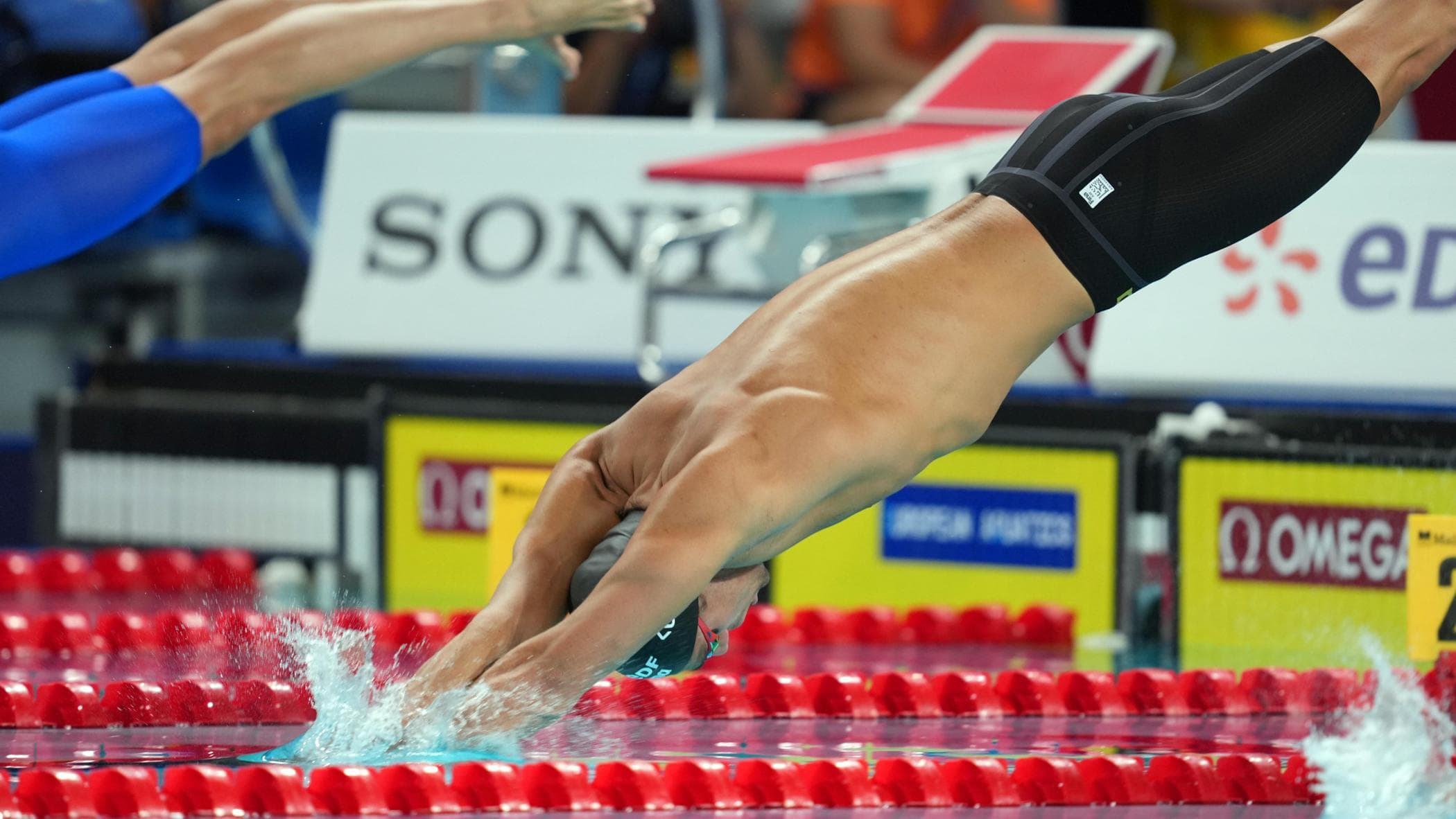 Europei di nuoto, Ceccon avanti nel dorso. Bene Pilato e D’Ambrosio, staffetta azzurra squalificata
