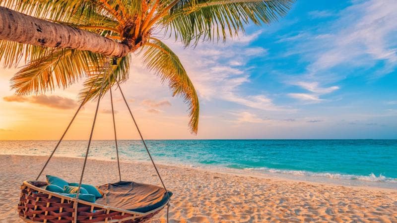 Anteprima: Buon Ferragosto 2026: frasi e immagini originali e divertenti da inviare
