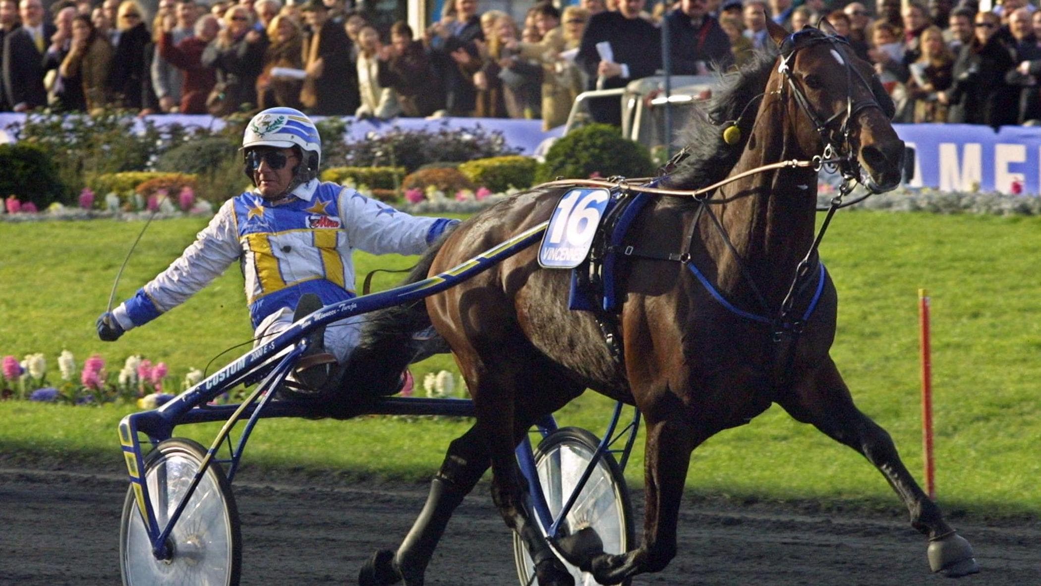 varenne 232 morto addio al cavallo trottatore pi249 forte di tutti i tempi da Repubblica.it varenne 232 morto addio al cavallo trottatore pi249 forte di tutti i tempi