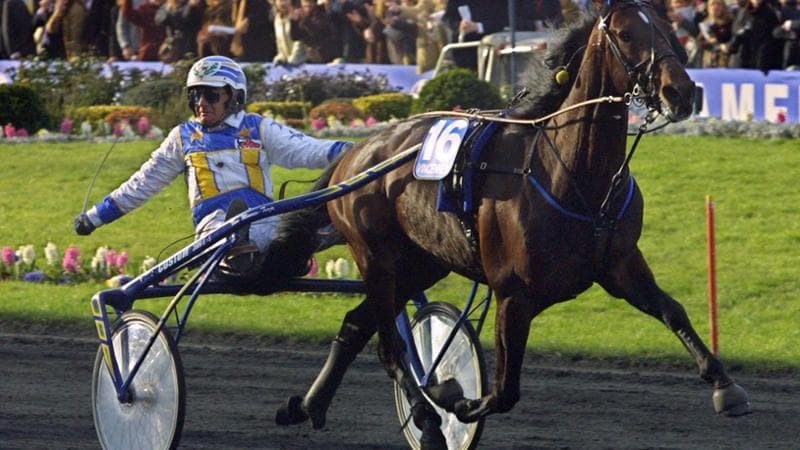 Varenne è morto, addio al cavallo trottatore più forte di tutti i tempi