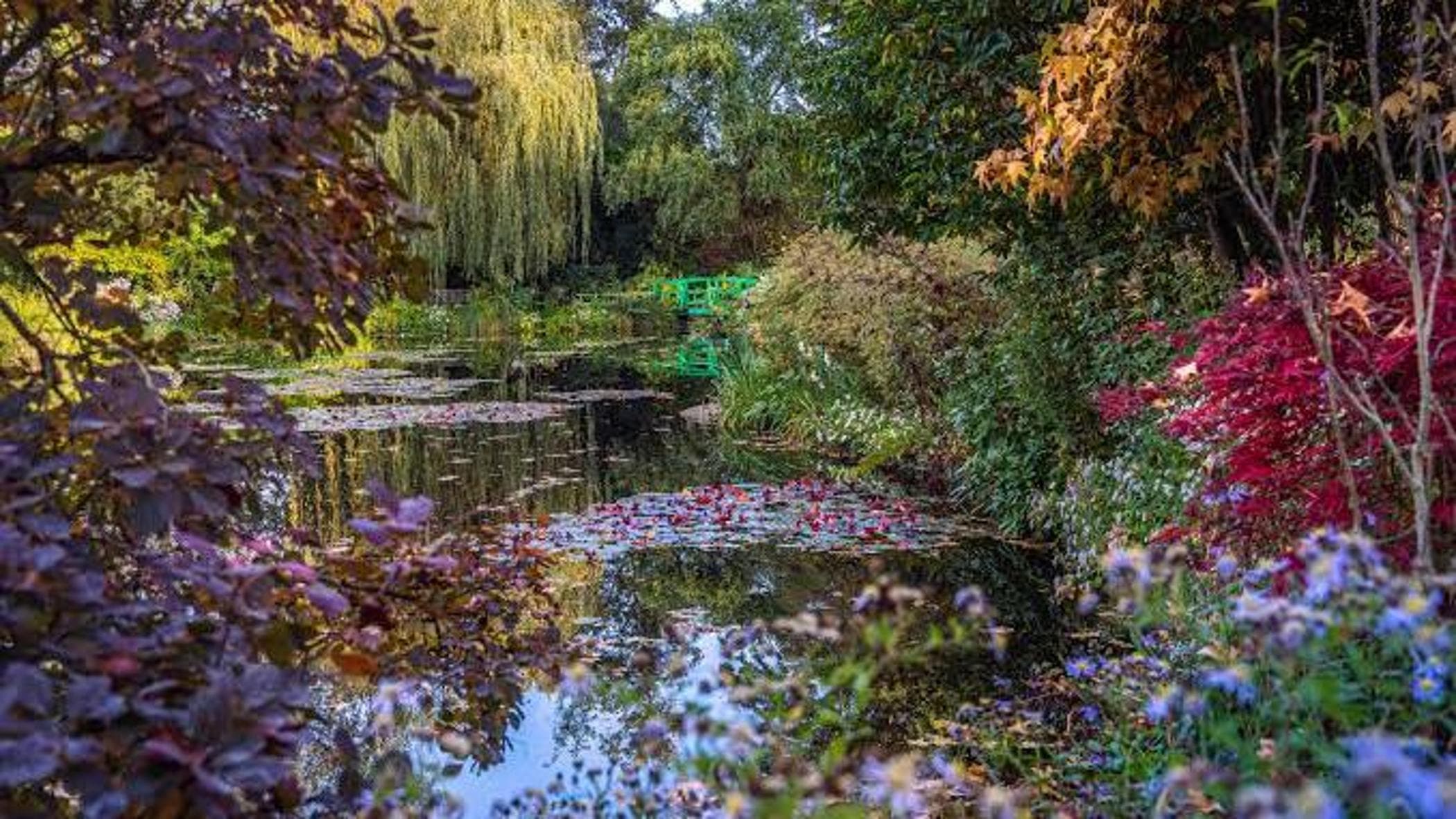 Il caldo minaccia il giardino di Giverny: si seccano i nasturzi di Monet, resistono le ninfee