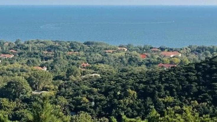 Il Partito “in vacanza”