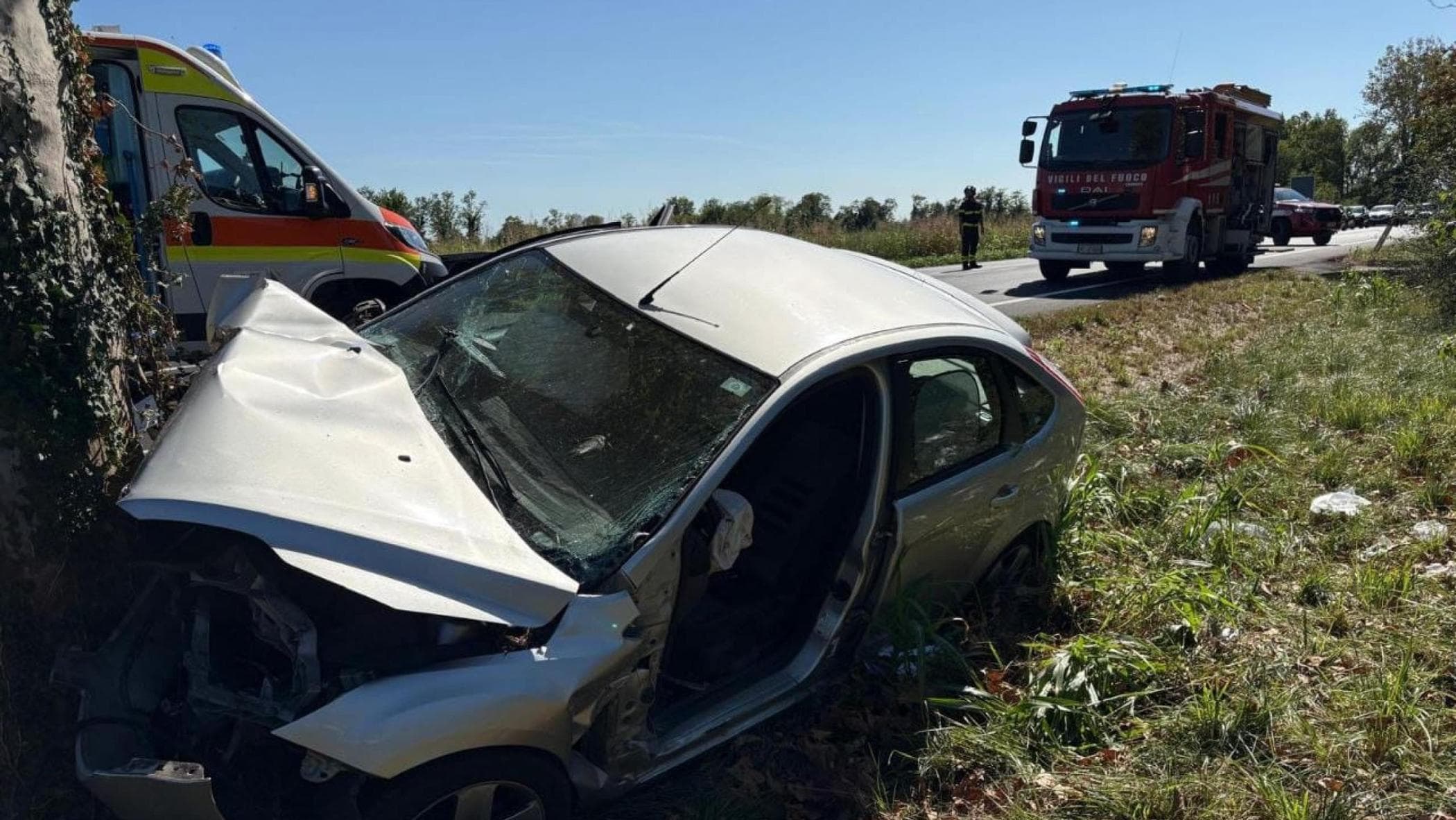 auto contro un platano in provincia di udine muore bambina di 11 anni gravissima la sorellina da Repubblica.it auto contro un platano in provincia di udine muore bambina di 11 anni gravissima la sorellina