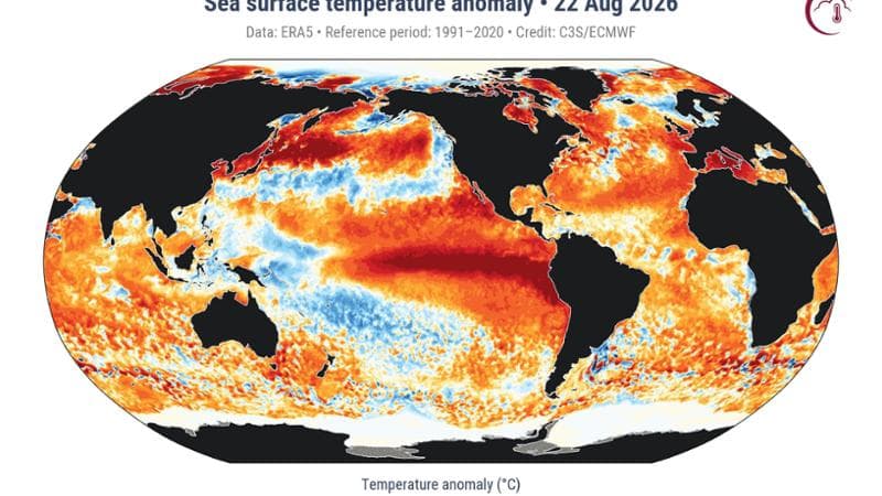 Anteprima: Mari bollenti, nuovo record l’oceano spaventa gli scienziati