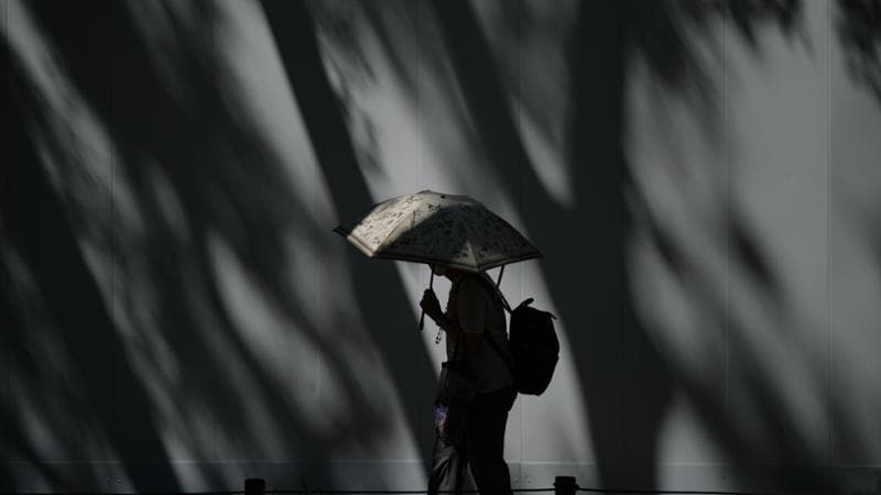 Anteprima: Caldo, in Europa già oltre 35000 vittime: “Ma potrebbero essere molte di più”