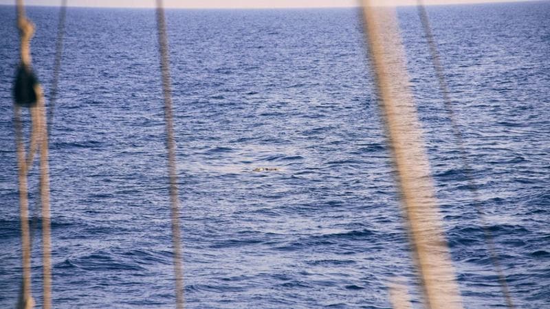 Lampedusa, altri 3 morti tra le onde. Dal 15 agosto sono almeno 50, più della metà avvistati da ong
