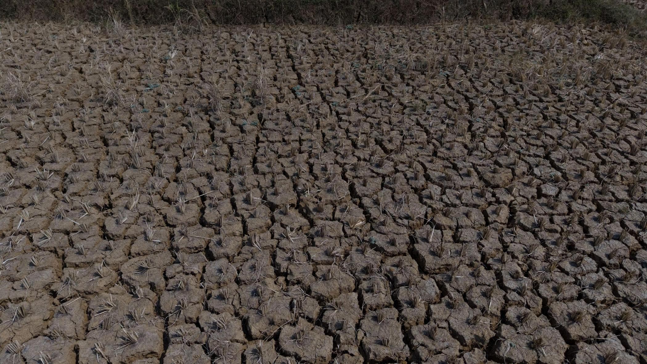 Tavoni: “Per il clima affondano edilizia e agricoltura, danni per 50 miliardi”