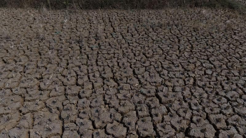 Anteprima: Tavoni: “Per il clima affondano edilizia e agricoltura, danni per 50 miliardi”