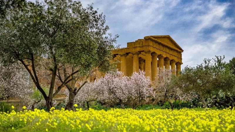Valle dei Templi, Naxos e altri gioielli. La Sicilia di mare vista dai suoi parchi archeologici