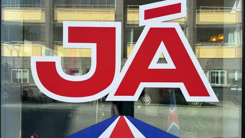 Anteprima: Tra gli europeisti di Reykjavik: “Euro, difesa e influenza a Bruxelles. Sì all’ingresso n…
