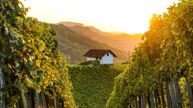 Slovenia: i colori dell’autunno