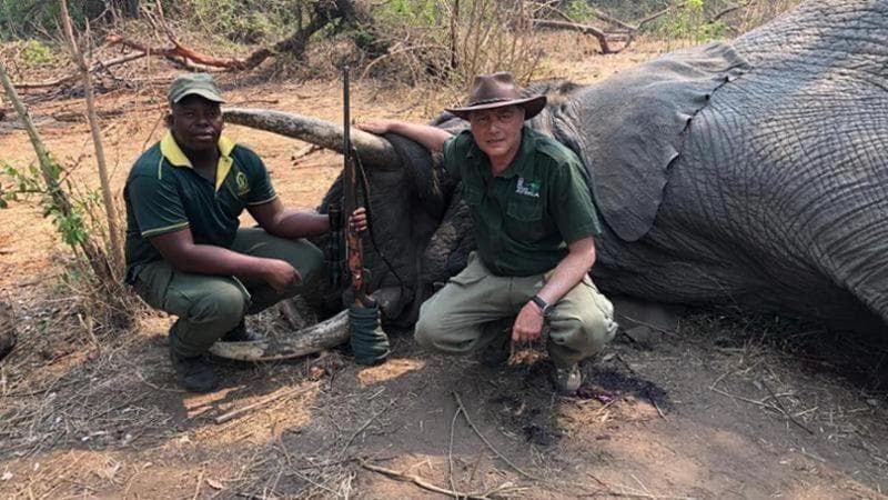 Il safari di Valter Lavitola in Zimbabwe