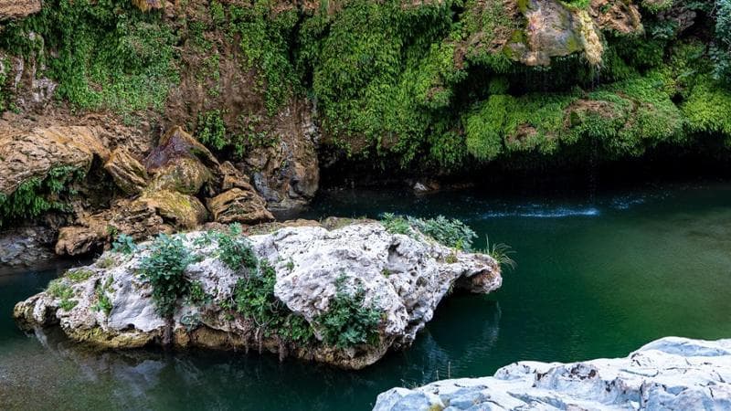 Scorcio di Sa Stiddiosa, con la parete verdissima di Capelvenere (Foto: Not Ordinary Studio / Proloco Seulo)