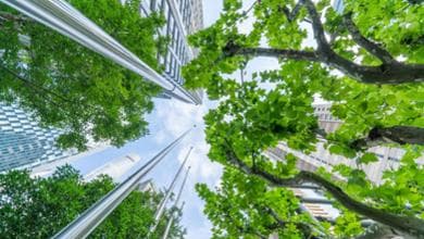 Banche europee, alle rinnovabili solo il 20% dei green bond