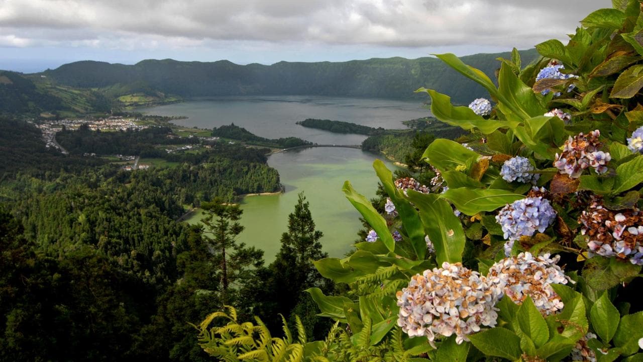 Verde e nero, tè e caldeiras. Eden Azzorre, arcipelago show a metà tra due mondi