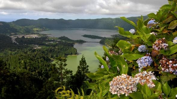 Verde e nero, tè e caldeiras. Eden Azzorre, arcipelago show a metà tra due mondi