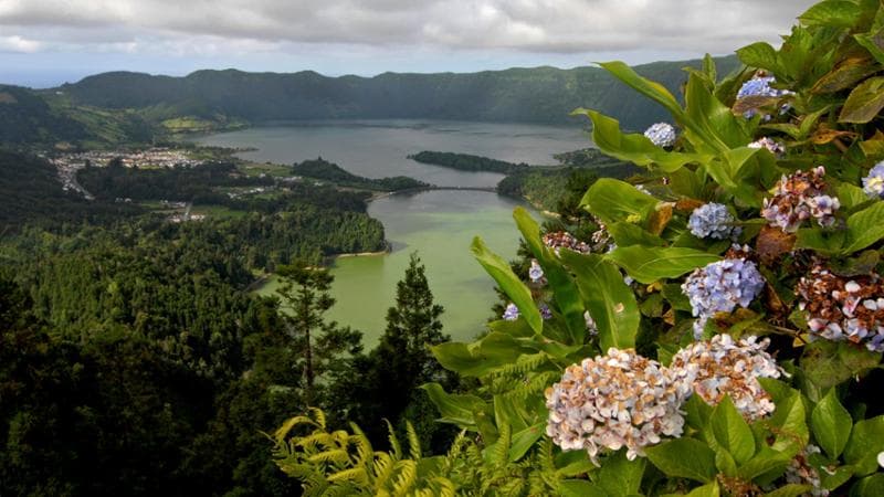 Verde e nero, tè e caldeiras. Eden Azzorre, arcipelago show a metà tra due mondi