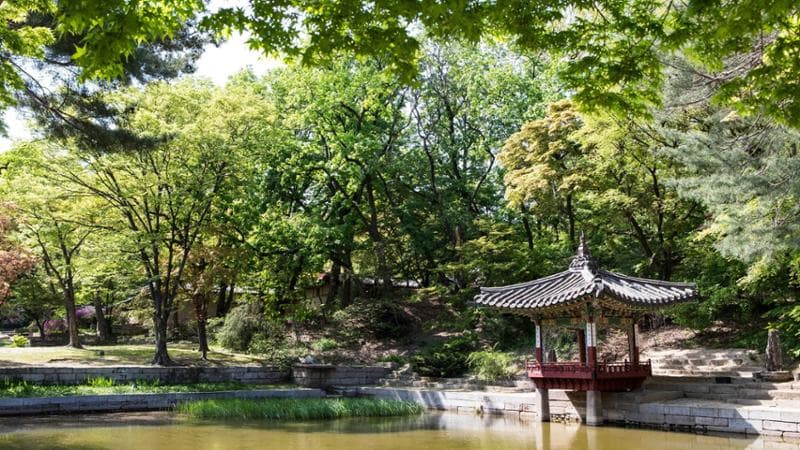 Seoul. Changdeokgung Palace_Huwon ⓒKorea Tourism Organization - Lee Bumsu