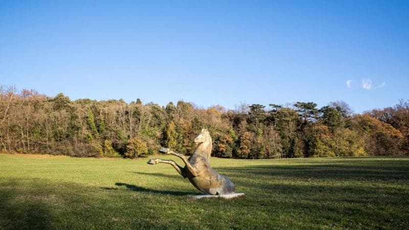 Non solo Uffizi, Piazzale Michelangelo e Duomo. Il segreto di Firenze è nel suo “anello verde”