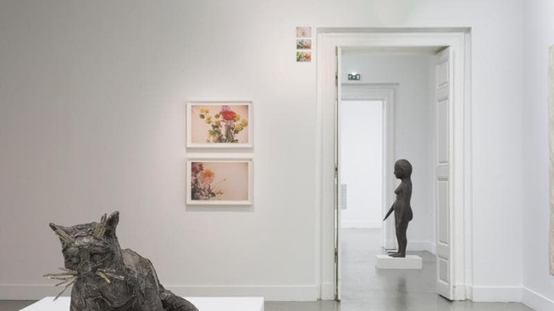 Kiki Smith @ MoCo, Montpellier (F)