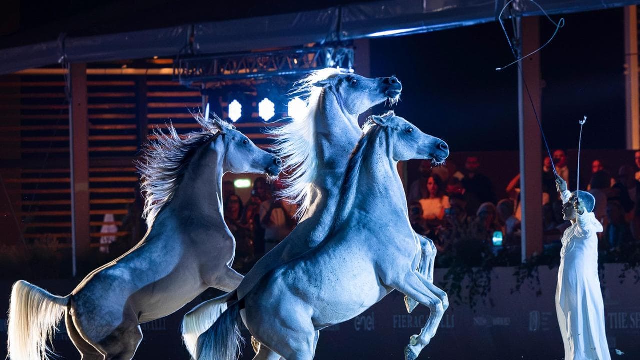 Progetto Riding by the sea: salto ostacoli, dressage, cavallo arabo, polo. Spettacolo per 25000 a Porto Sant’Elpidio