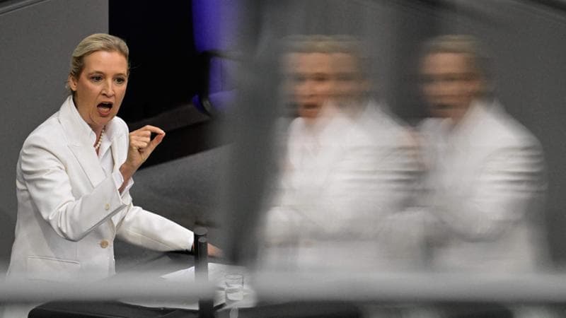 Anteprima: Mény: “Mettere l’Afd al bando è pericoloso per la democrazia, servono risposte agli elett…