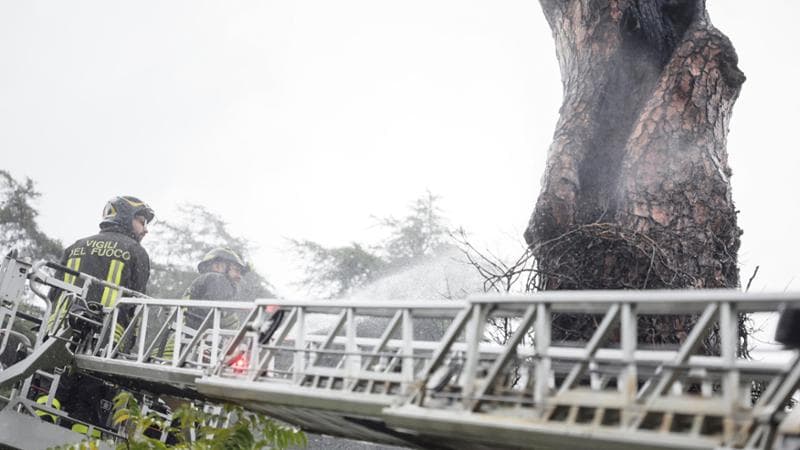 L'albero colpito da un fulmine a Roma