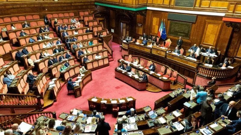 Anteprima: Seggi, premio e cespugli: i nodi della legge elettorale