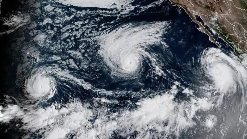 Clima, lo strano caso dell’inverno mite che ci aspetta. E perché c’entra El Niño