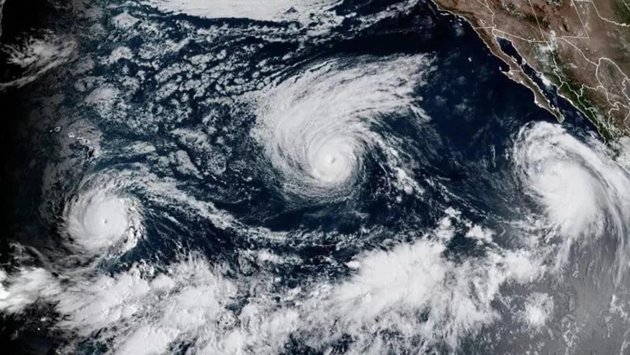 clima lo strano caso dell8217inverno mite che ci aspetta e perch233 c8217entra el ni241o da Repubblica.it clima lo strano caso dell8217inverno mite che ci aspetta e perch233 c8217entra el ni241o