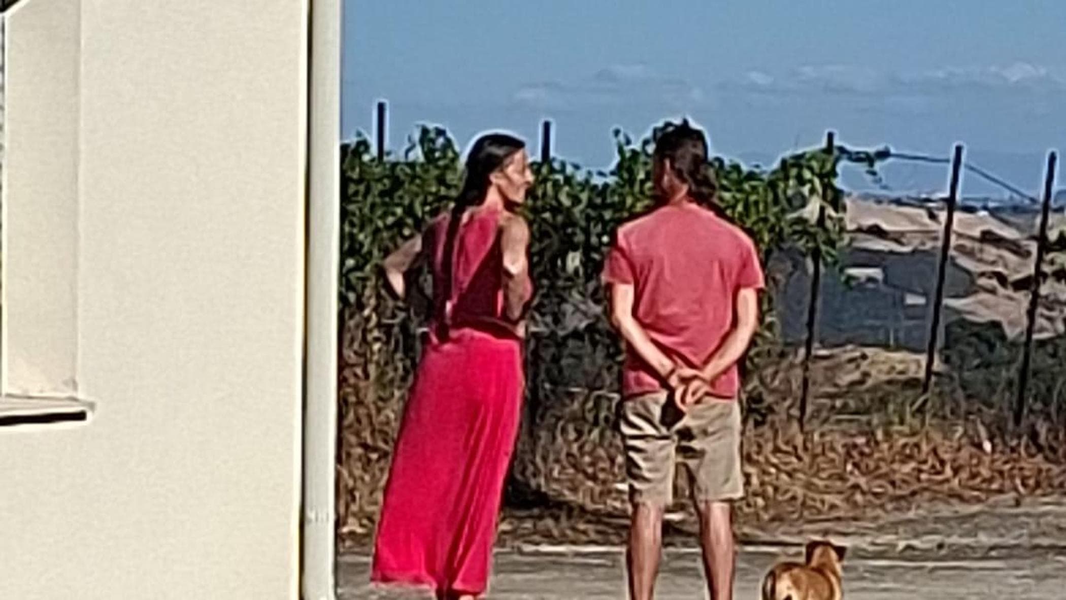 la famiglia nel bosco troppe persone salta l8217incontro a casa tra nathan catherine e i bambini da Repubblica.it la famiglia nel bosco troppe persone salta l8217incontro a casa tra nathan catherine e i bambini