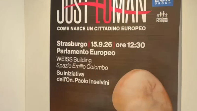Mostra anti-aborto all’Europarlamento promossa da FdI. È polemica, Pd e M5S: “Oltraggio alle donne”