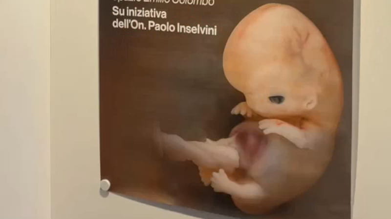 Mostra anti-aborto all’Europarlamento promossa da FdI. È polemica, Pd e M5S: “Oltraggio alle donne”