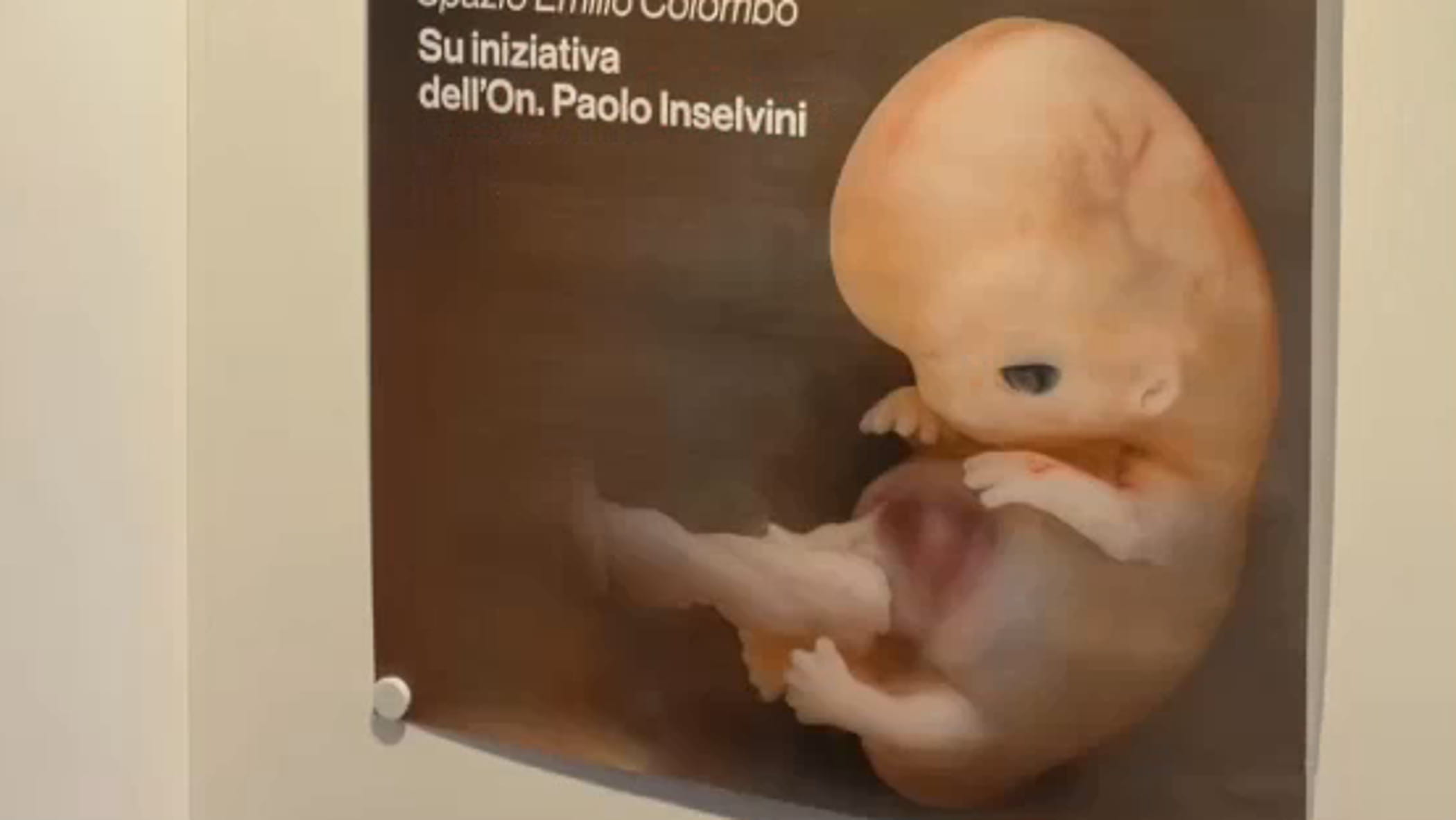 Mostra anti-aborto all’Europarlamento promossa da FdI. È polemica, Pd e M5S: “Oltraggio alle donne”