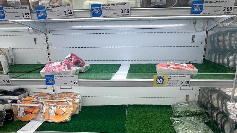 Anteprima: Insalata, melanzane, carote e pomodori: così il clima svuota gli scaffali dei supermercati